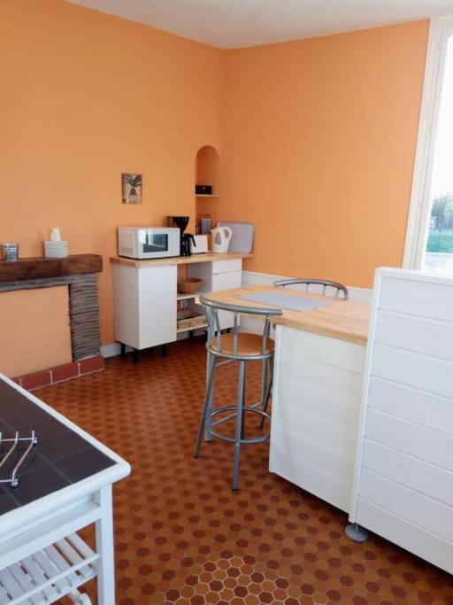 Appartement Le Nid De L'Ile à Chinon Extérieur photo