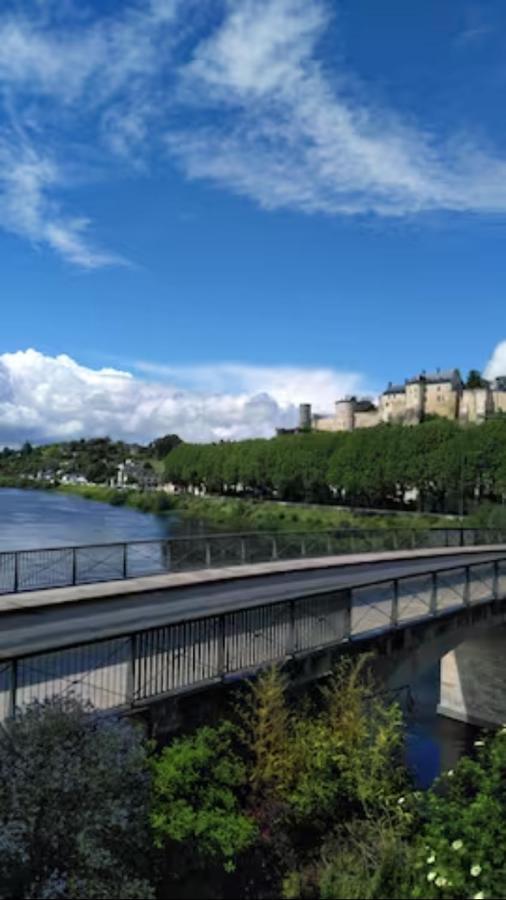 Appartement Le Nid De L'Ile à Chinon Extérieur photo