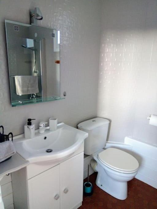 Appartement Le Nid De L'Ile à Chinon Extérieur photo
