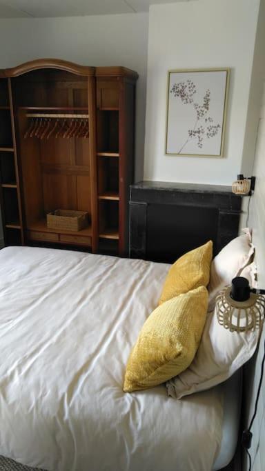Appartement Le Nid De L'Ile à Chinon Extérieur photo